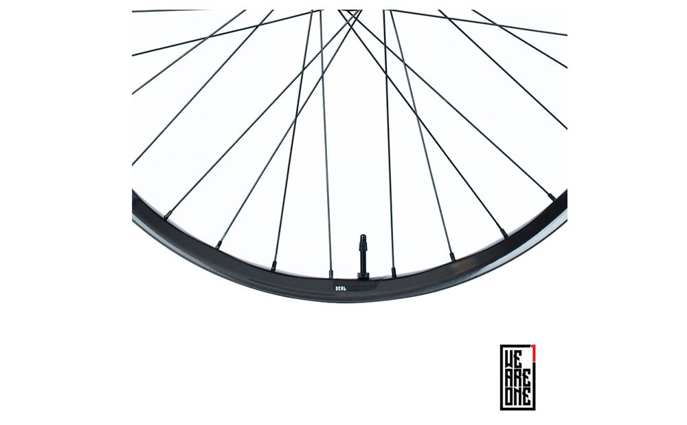 Industry Nine Hydra 2 Deal - Carbon DH Wheelset